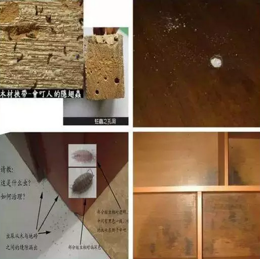 家具是鋁合金防蛀